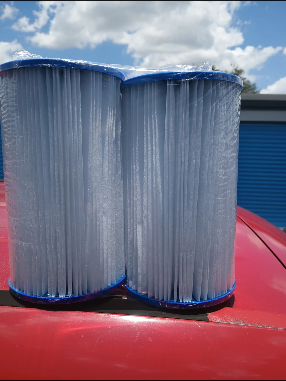 Replacement Pool Liner Filter Cartridges - Blue (2 Pack)